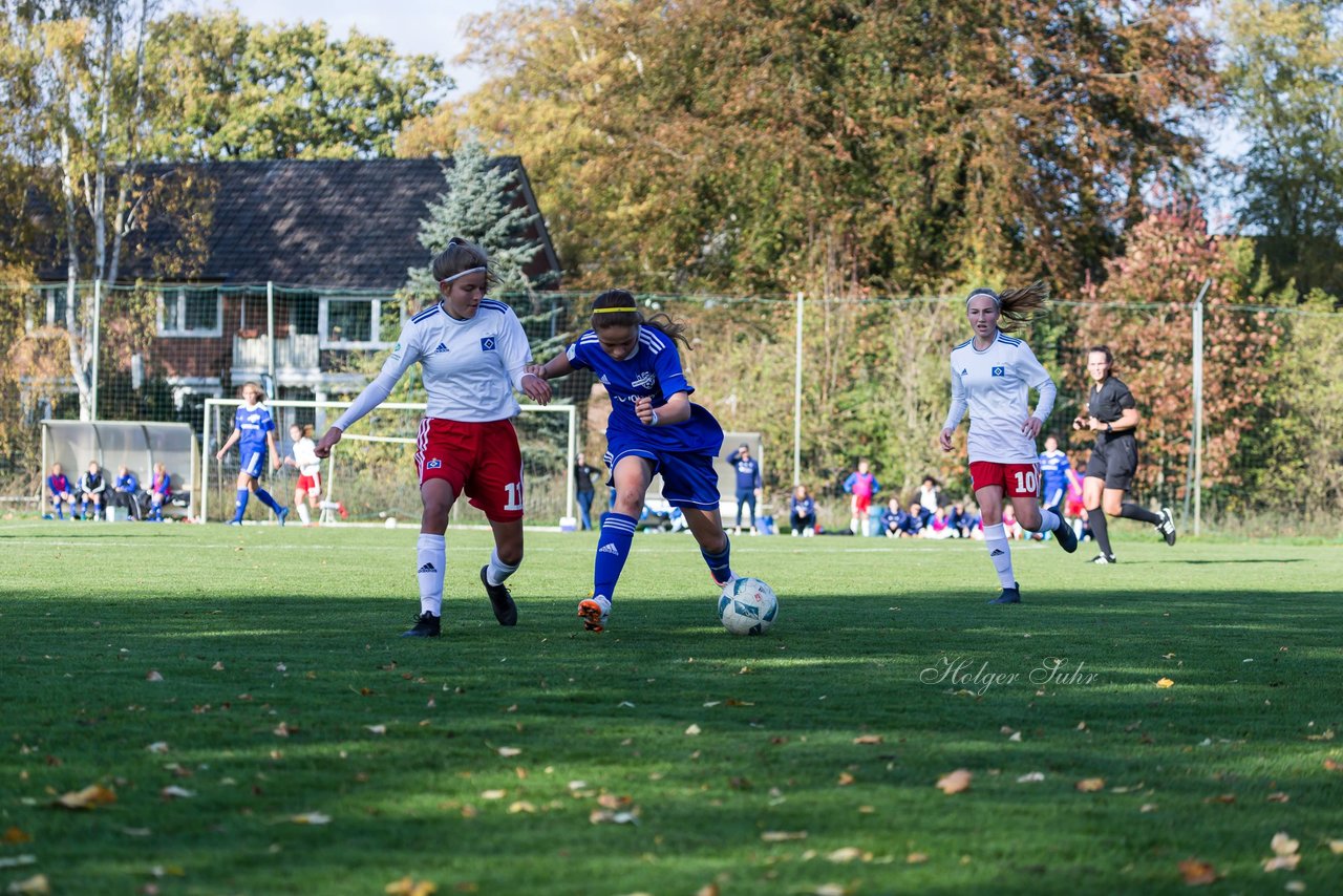 Bild 187 - B-Juniorinnen Hamburger SV - FC Neubrandenburg 04 : Ergebnis: 3:1